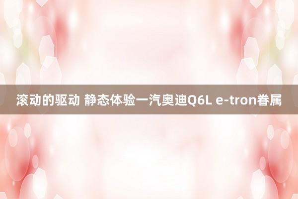 滚动的驱动 静态体验一汽奥迪Q6L e-tron眷属